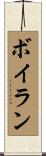 Boylan Scroll
