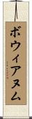 ボウィアヌム Scroll