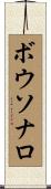 ボウソナロ Scroll