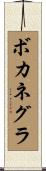 Bocanegra Scroll