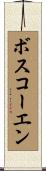 ボスコーエン Scroll