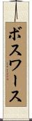 Bosworth Scroll