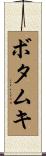 ボタムキ Scroll