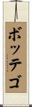 ボッテゴ Scroll