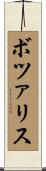 ボツァリス Scroll