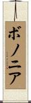 ボノニア Scroll