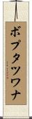 ボプタツワナ Scroll