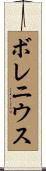 ボレニウス Scroll