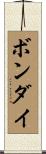 ボンダイ Scroll