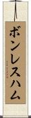 ボンレスハム Scroll