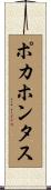 ポカホンタス Scroll