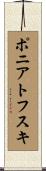 ポニアトフスキ Scroll