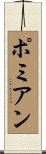 ポミアン Scroll