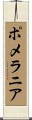 ポメラニア Scroll
