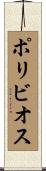 ポリビオス Scroll