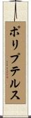 ポリプテルス Scroll