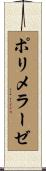 ポリメラーゼ Scroll