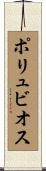 ポリュビオス Scroll