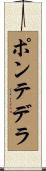 ポンテデラ Scroll