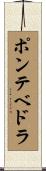 ポンテベドラ Scroll