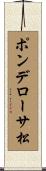 ポンデローサ松 Scroll