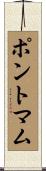 ポントマム Scroll