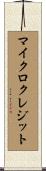 マイクロクレジット Scroll