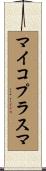 マイコプラスマ Scroll