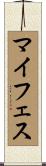 マイフェス Scroll