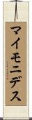 マイモニデス Scroll