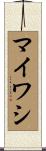 マイワシ Scroll