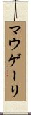 マウゲーリ Scroll