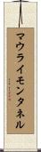 マウライモンタネル Scroll