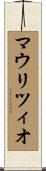 マウリツィオ Scroll