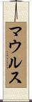 マウルス Scroll