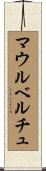 マウルベルチュ Scroll