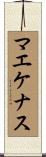 マエケナス Scroll