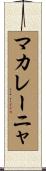 マカレーニャ Scroll