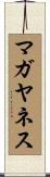 マガヤネス Scroll