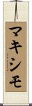 Maximo Scroll