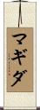 Magida Scroll