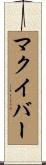 McIver Scroll
