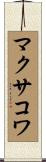 マクサコワ Scroll