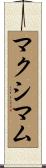 マクシマム Scroll