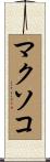 マクソコ Scroll