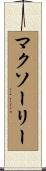 マクソーリー Scroll