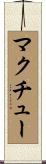 McHugh Scroll