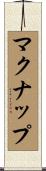 マクナップ Scroll