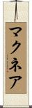 McNair Scroll