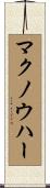 マクノウハー Scroll